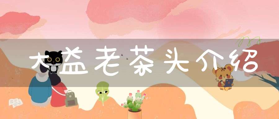 大益老茶头介绍
