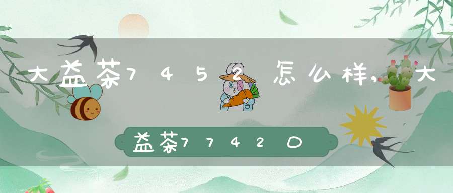 大益茶7452怎么样,大益茶7742口感