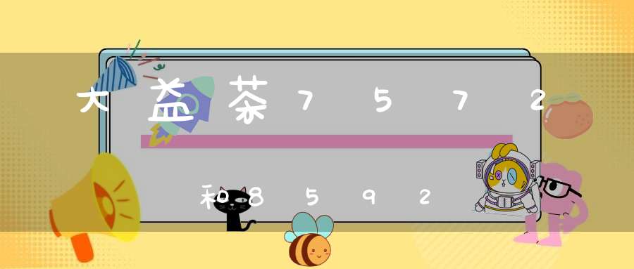大益茶7572和8592