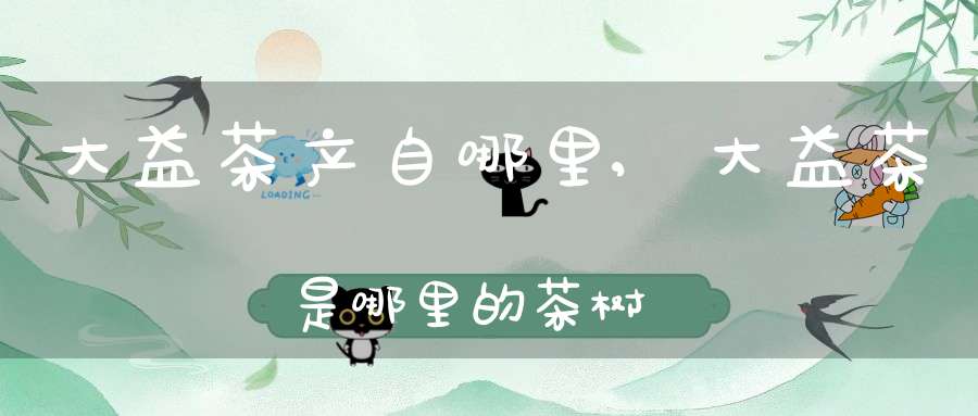 大益茶产自哪里?,大益茶是哪里的茶树