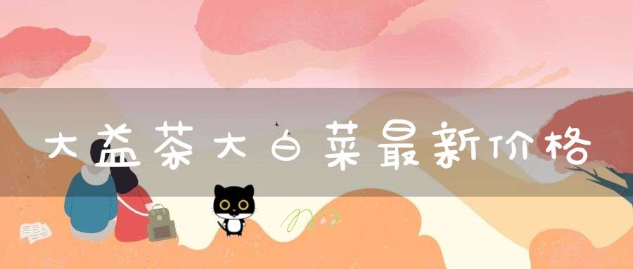 大益茶大白菜最新价格