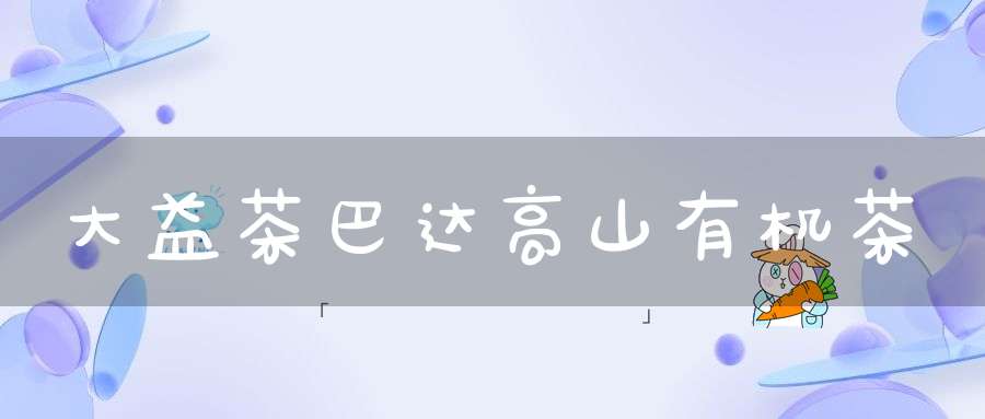 大益茶巴达高山有机茶