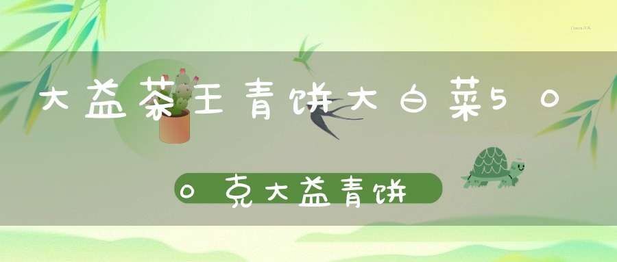大益茶王青饼大白菜500克大益青饼