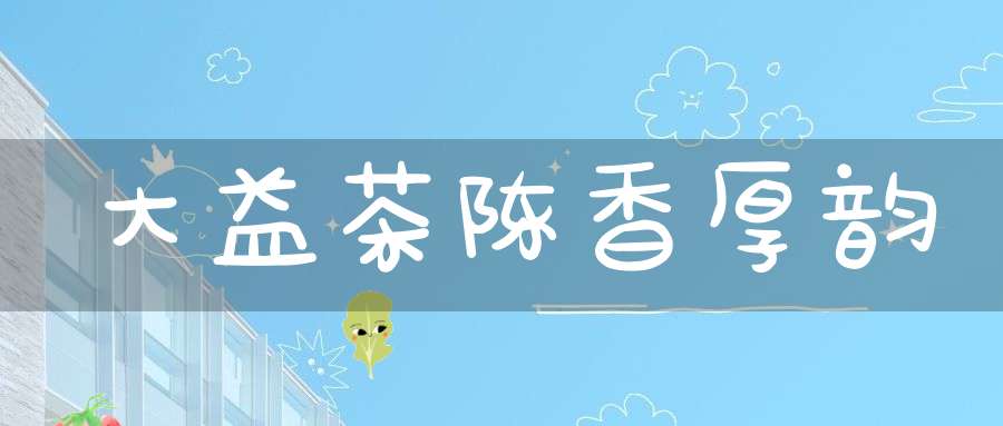 大益茶陈香厚韵