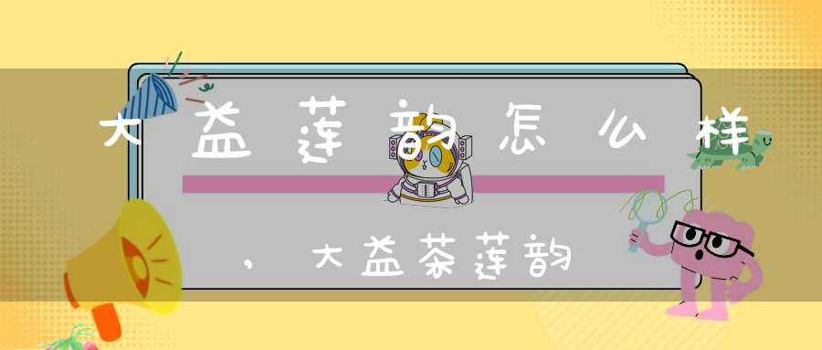 大益莲韵怎么样,大益茶莲韵