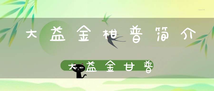 大益金柑普简介大益金甘普