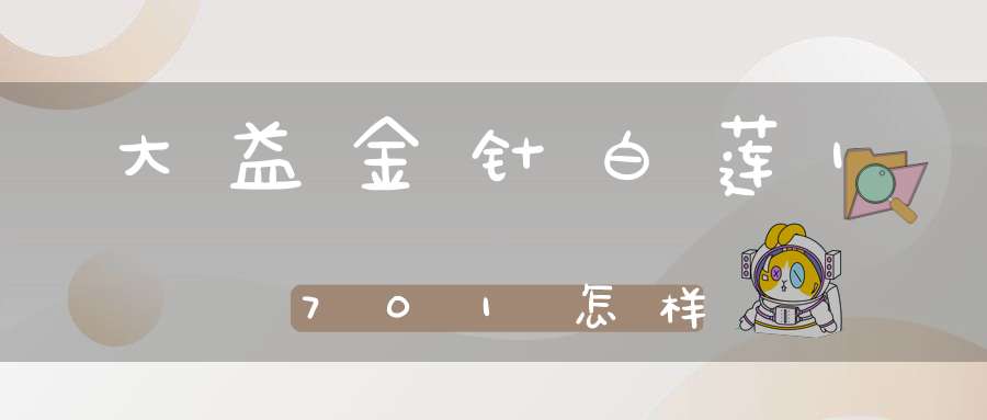 大益金针白莲1701怎样