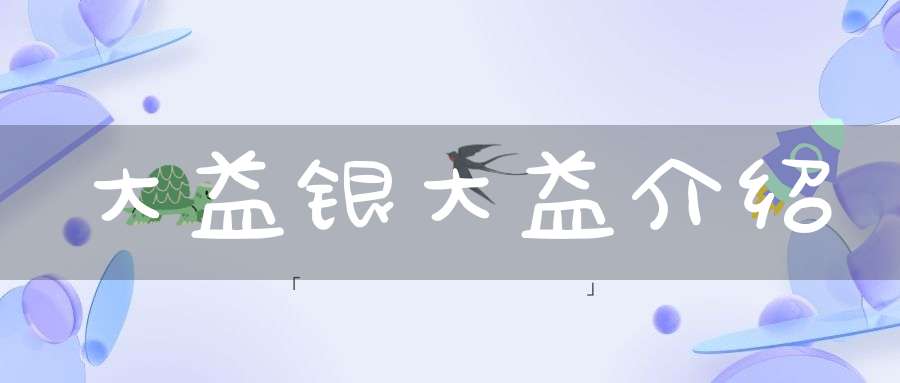大益银大益介绍