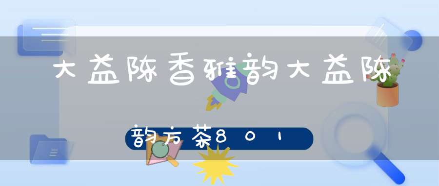 大益陈香雅韵大益陈韵方茶801