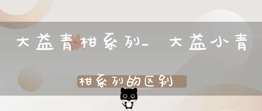 大益青柑系列_大益小青柑系列的区别