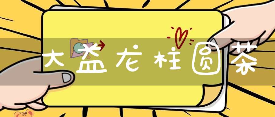 大益龙柱圆茶