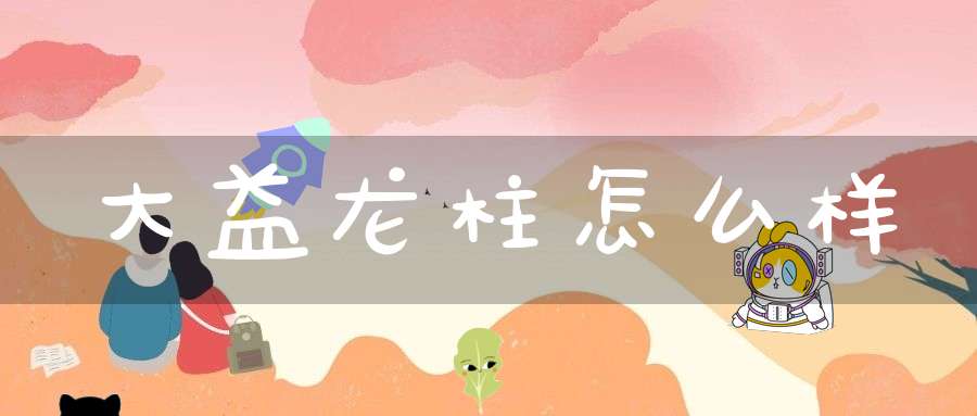 大益龙柱怎么样