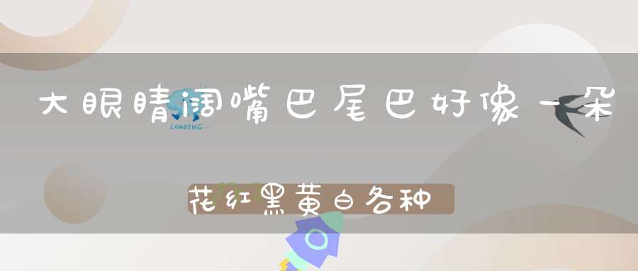 大眼睛，阔嘴巴，尾巴好像一朵花，红黑黄白各种色，游来游去美极了。 （猜一动物）