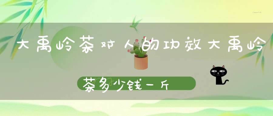 大禹岭茶对人的功效大禹岭茶多少钱一斤