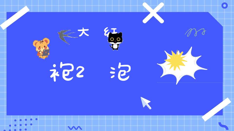 大红袍2泡