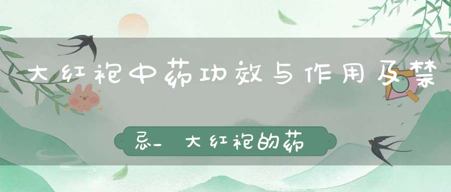 大红袍中药功效与作用及禁忌_大红袍的药用功效