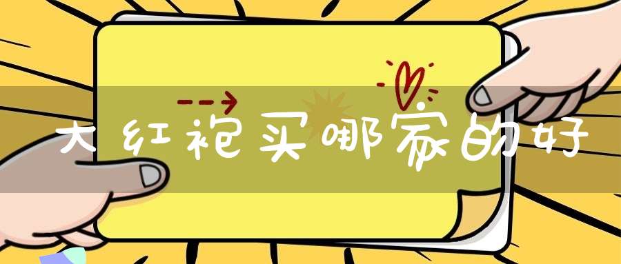 大红袍买哪家的好