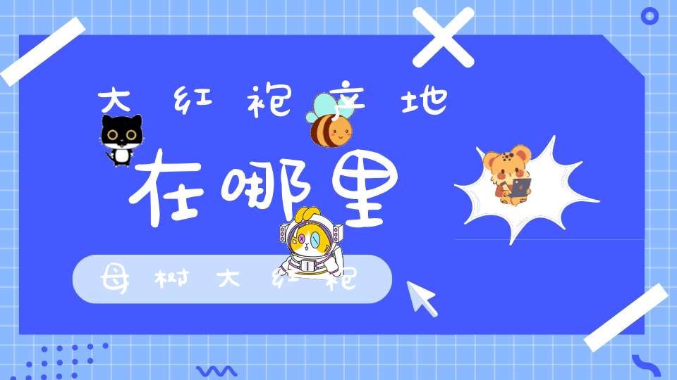 大红袍产地在哪里母树大红袍