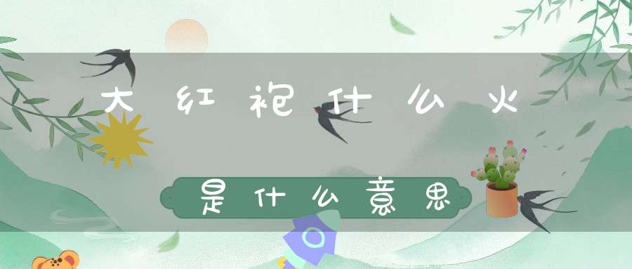 大红袍什么火是什么意思