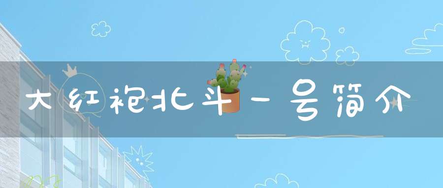 大红袍北斗一号简介