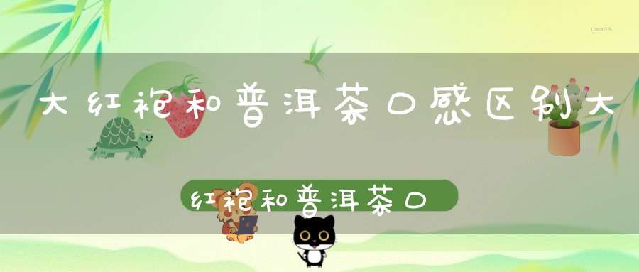 大红袍和普洱茶口感区别大红袍和普洱茶口感哪个好