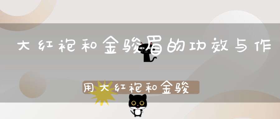大红袍和金骏眉的功效与作用大红袍和金骏眉一样吗