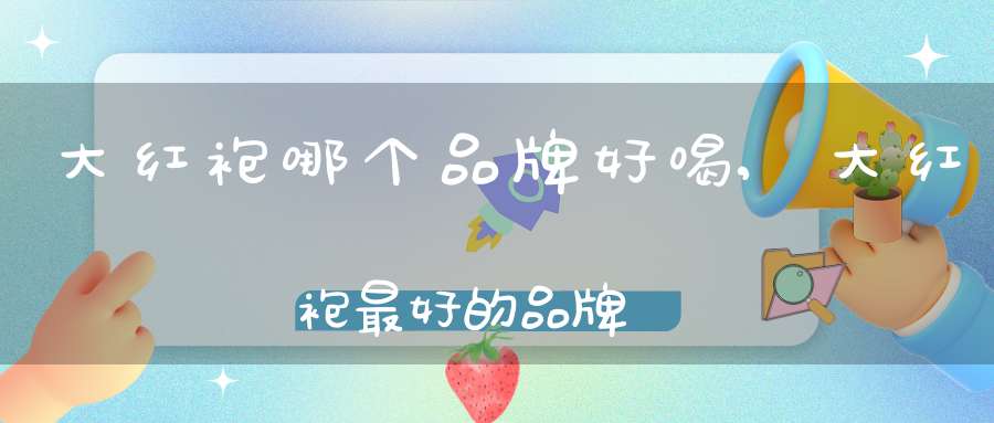 大红袍哪个品牌好喝,大红袍最好的品牌