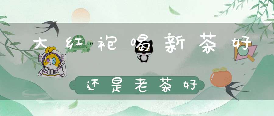 大红袍喝新茶好还是老茶好