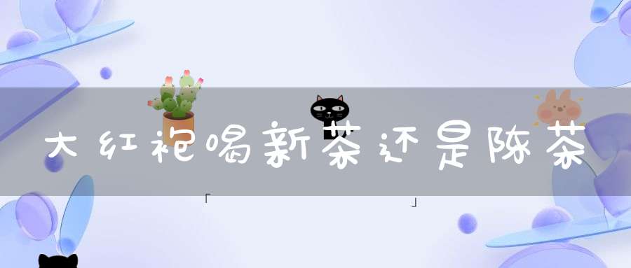 大红袍喝新茶还是陈茶