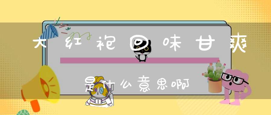 大红袍回味甘爽是什么意思啊