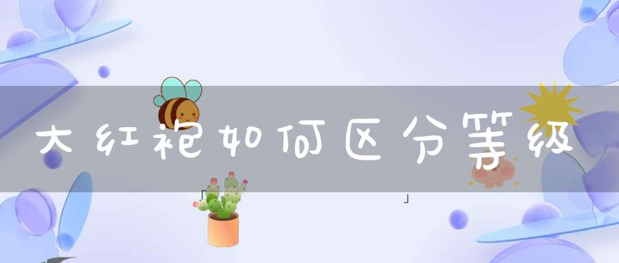 大红袍如何区分等级