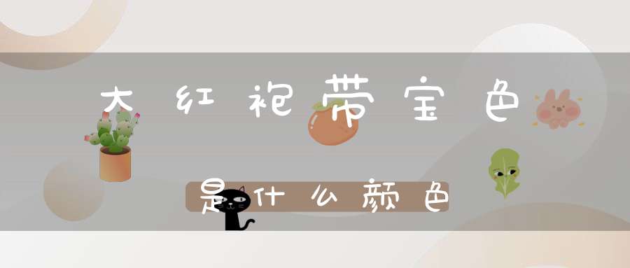 大红袍带宝色是什么颜色