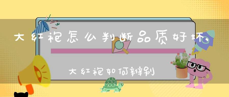 大红袍怎么判断品质好坏,大红袍如何辨别品质