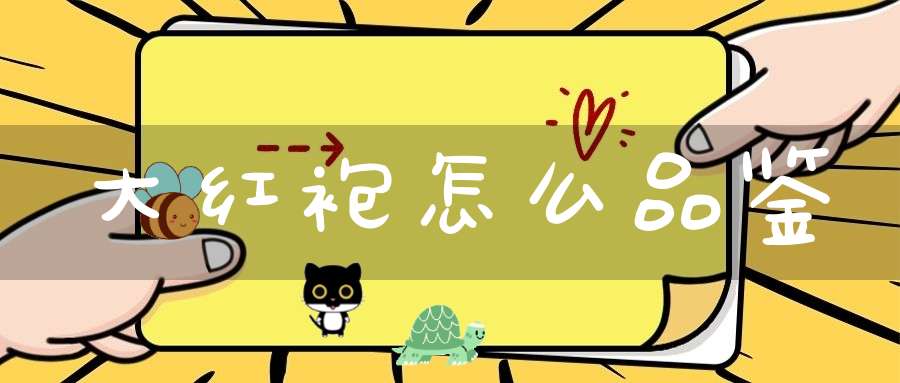 大红袍怎么品鉴