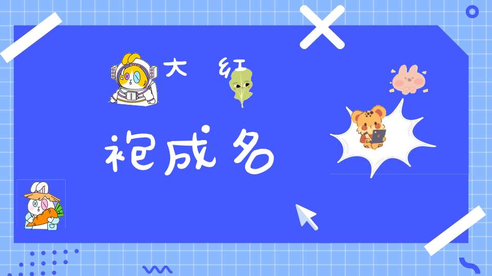大红袍成名
