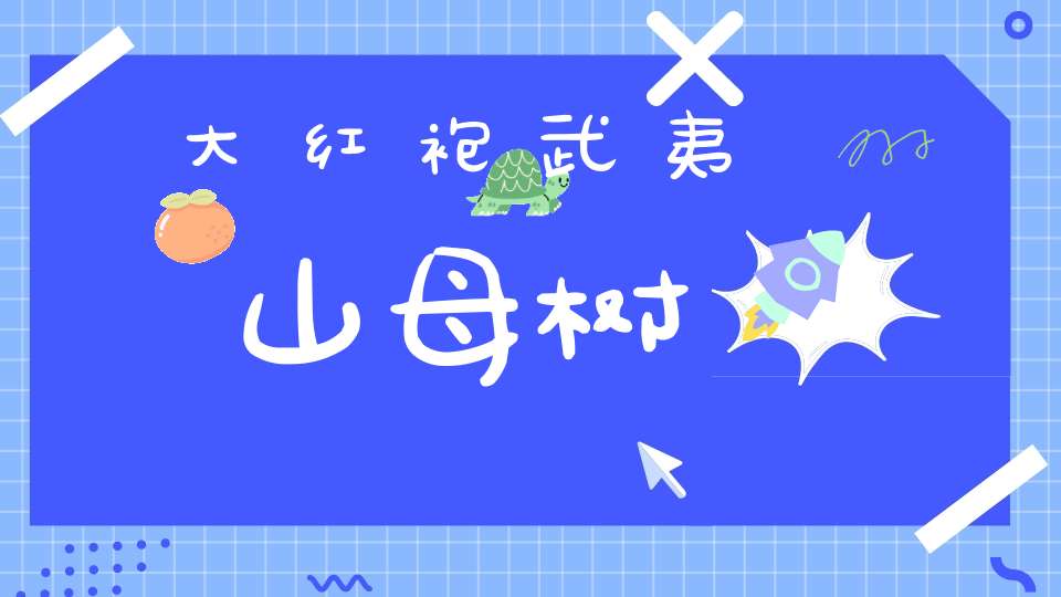 大红袍武夷山母树