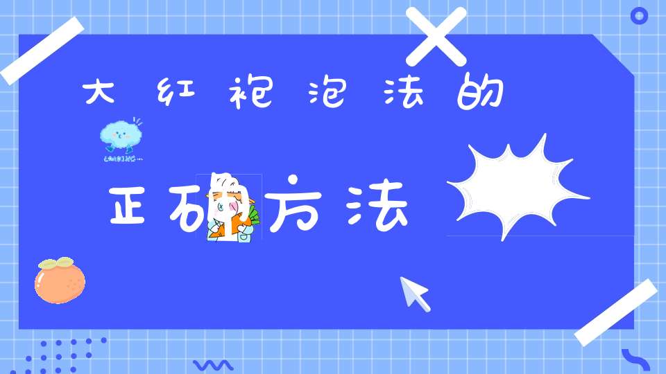 大红袍泡法的正确方法