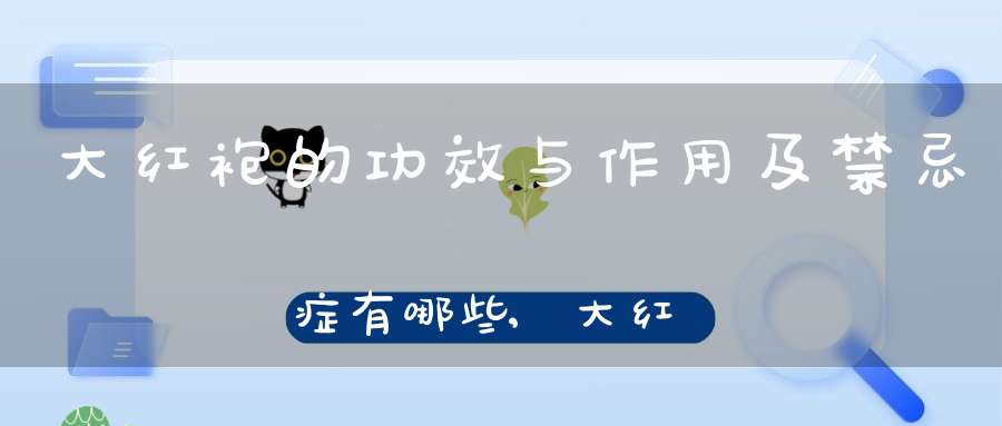 大红袍的功效与作用及禁忌症有哪些?,大红袍的好处与功效