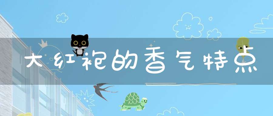 大红袍的香气特点