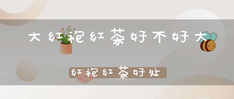 大红袍红茶好不好大红袍红茶好处