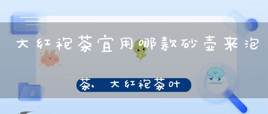 大红袍茶宜用哪款砂壶来泡茶,大红袍茶叶用什么紫砂壶泡