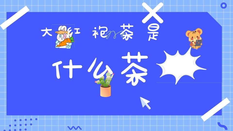 大红袍茶是什么茶