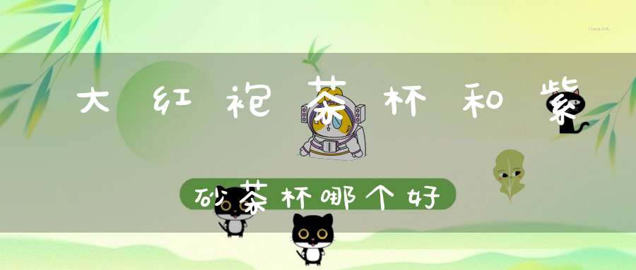 大红袍茶杯和紫砂茶杯哪个好