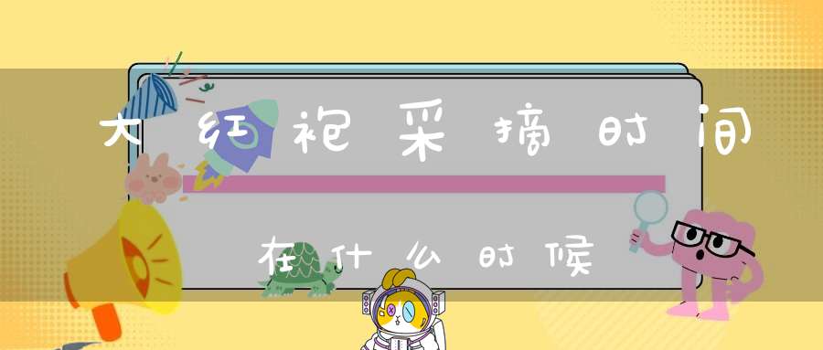 大红袍采摘时间在什么时候