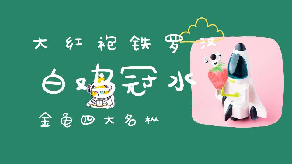 大红袍铁罗汉白鸡冠水金龟四大名枞