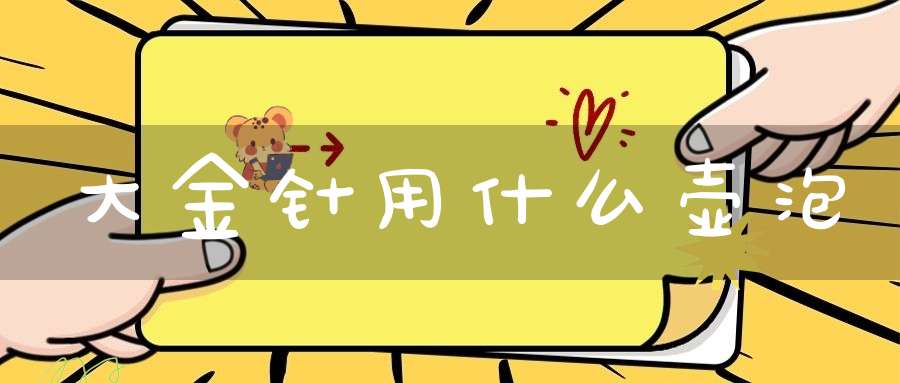 大金针用什么壶泡