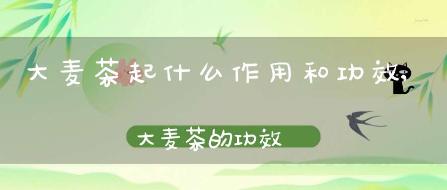 大麦茶起什么作用和功效,大麦茶的功效