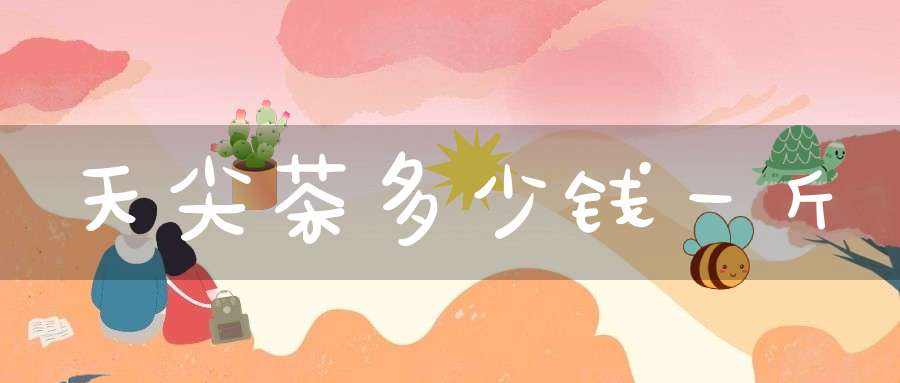 天尖茶多少钱一斤