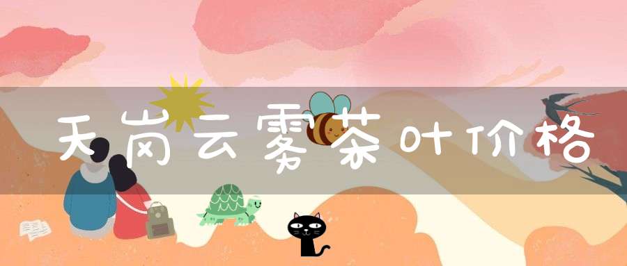 天岗云雾茶叶价格
