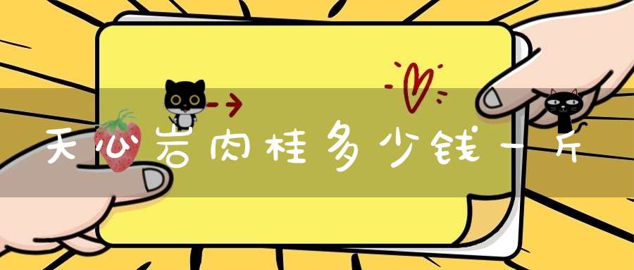 天心岩肉桂多少钱一斤